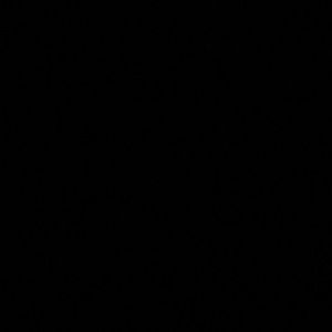 Meet your Posher, Shemiko